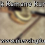 mersin kabak kemane kursu