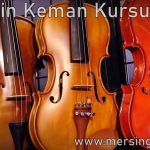 mersin keman kursu