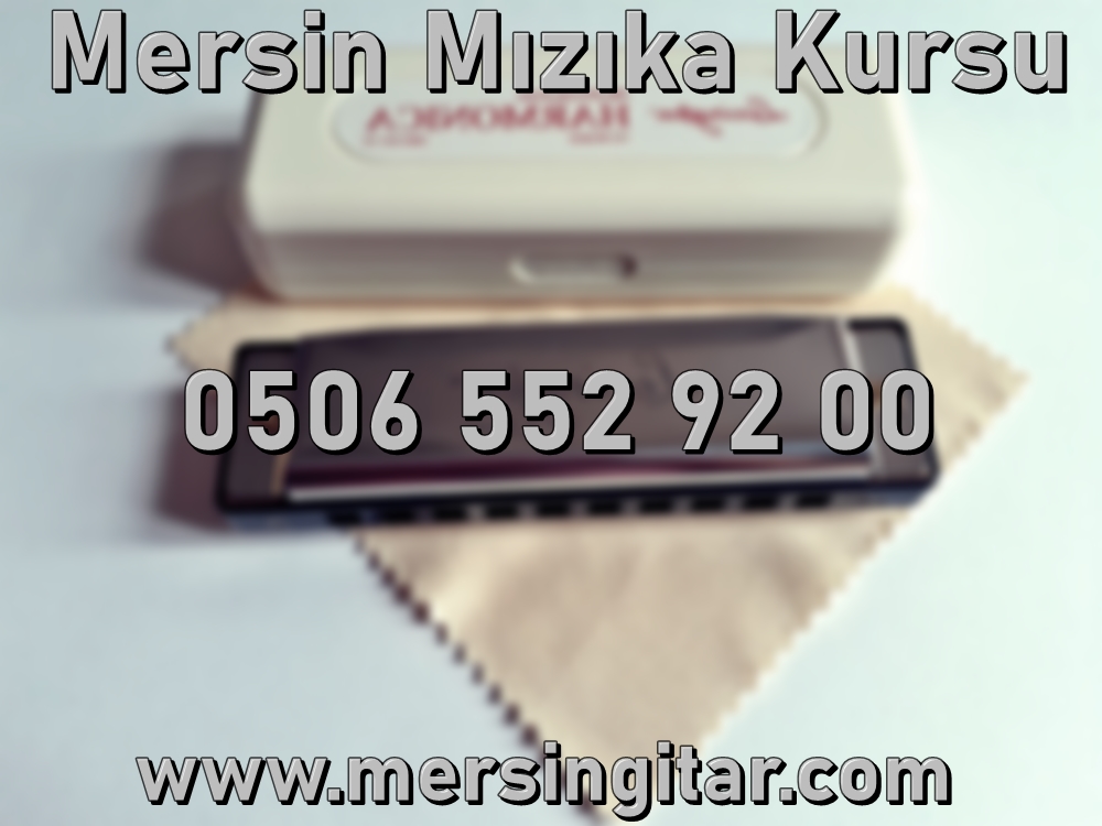 mersin mızıka kursu