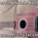mersin ukulele kursu