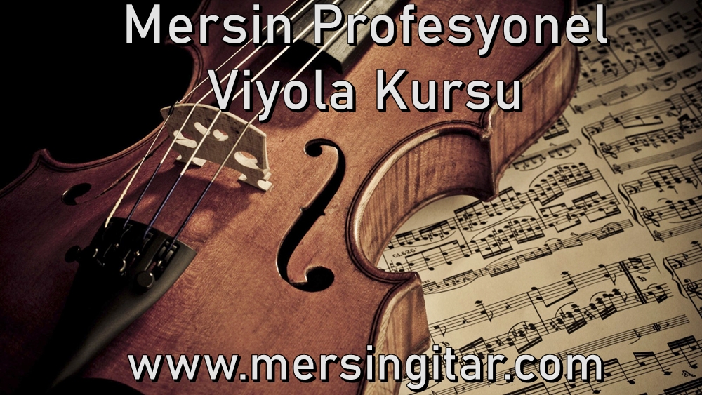 mersin viyola kursu