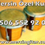 mersin bongo kursu