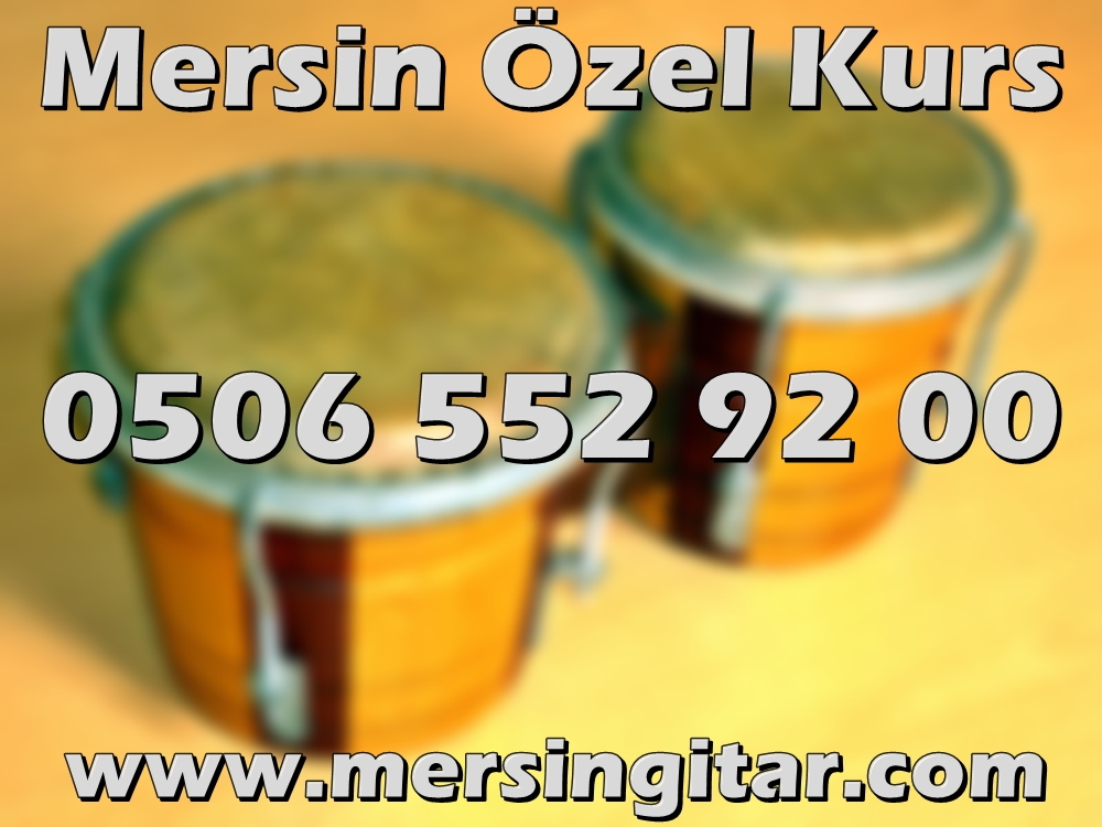 mersin bongo kursu
