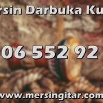 mersin darbuka kursu