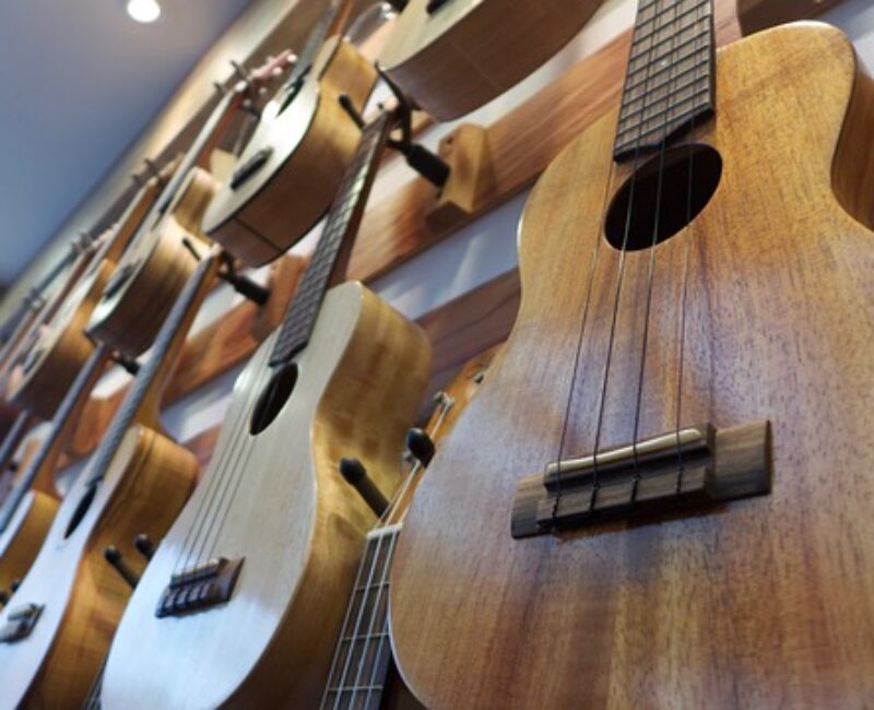Mersin-7-telli-gitar-sercan-birsen